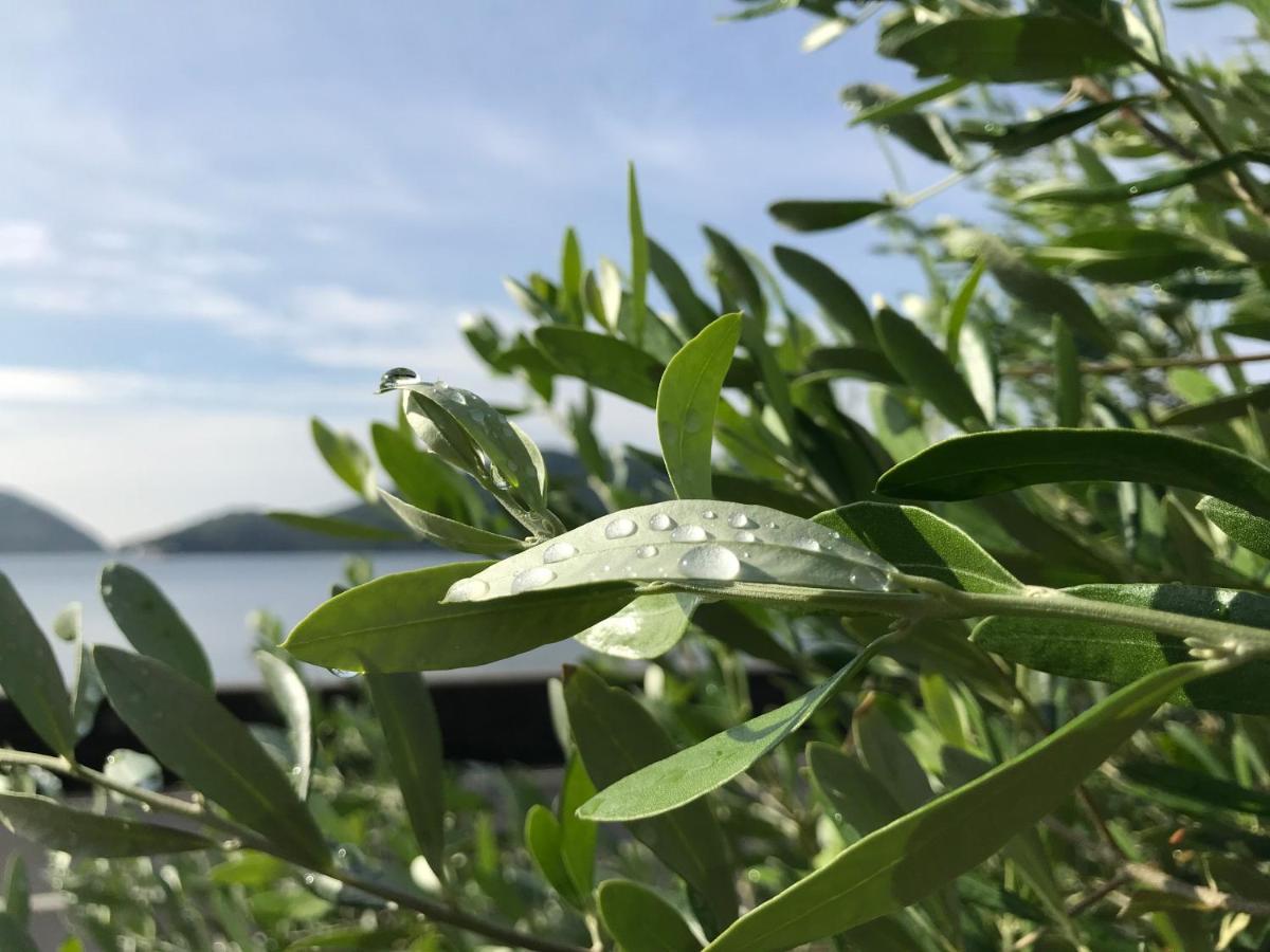Shodoshima Olive Youth Hostel Buitenkant foto